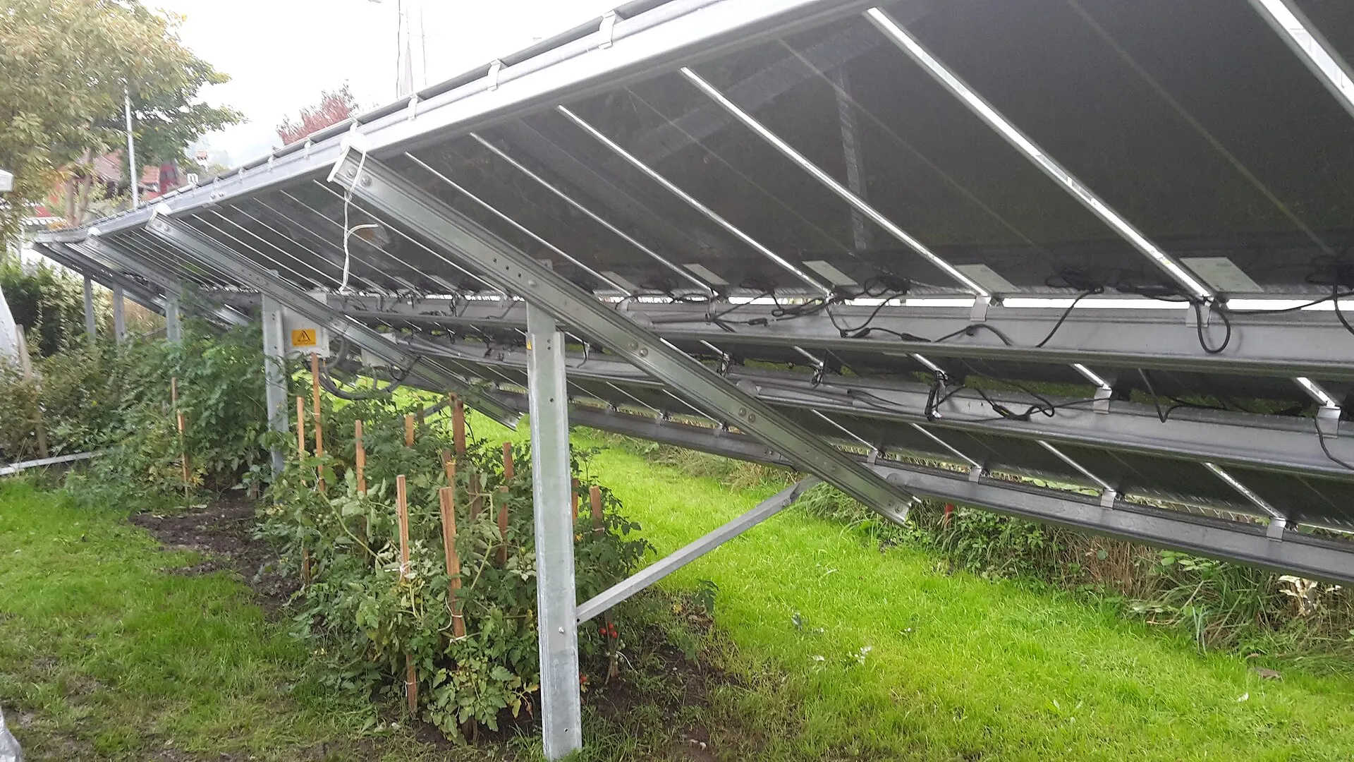 Panneaux solaires sur une structure métallique au-dessus de plantations dans un jardin